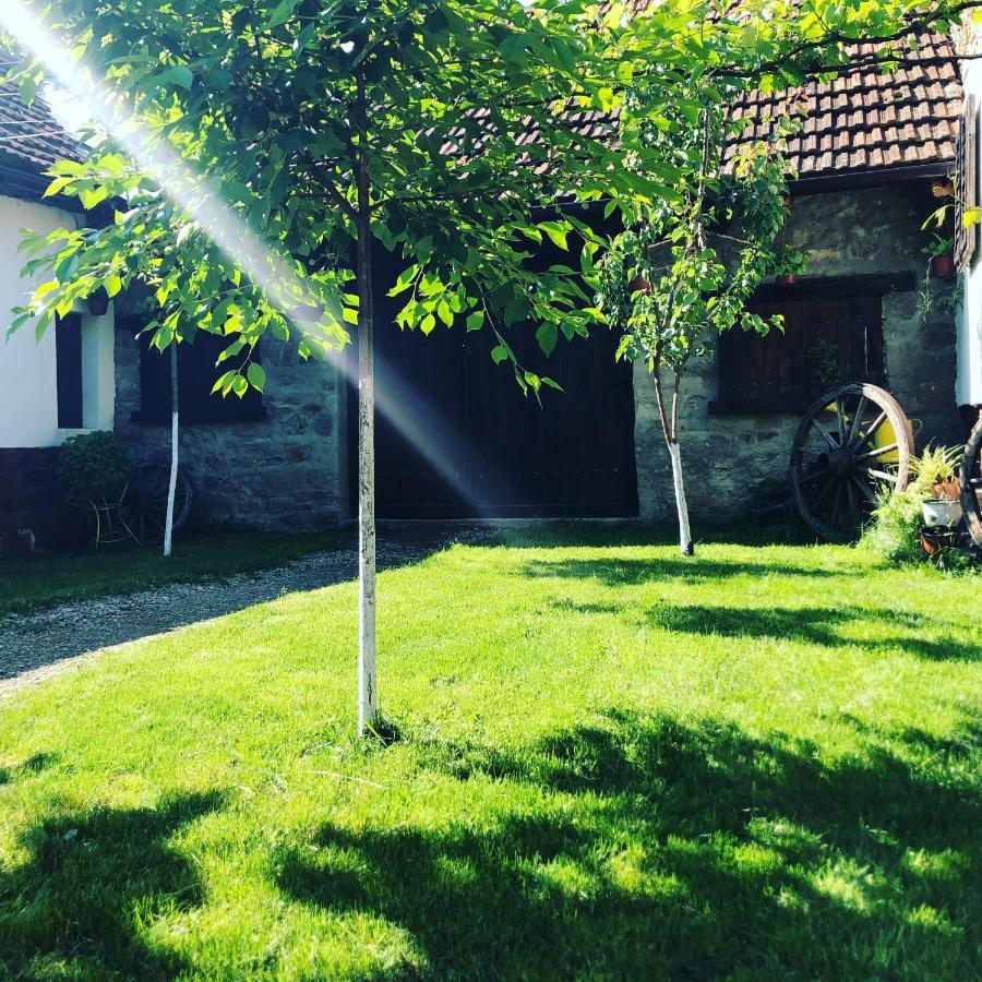 The Hunter House Villa Ciudanovita ภายนอก รูปภาพ