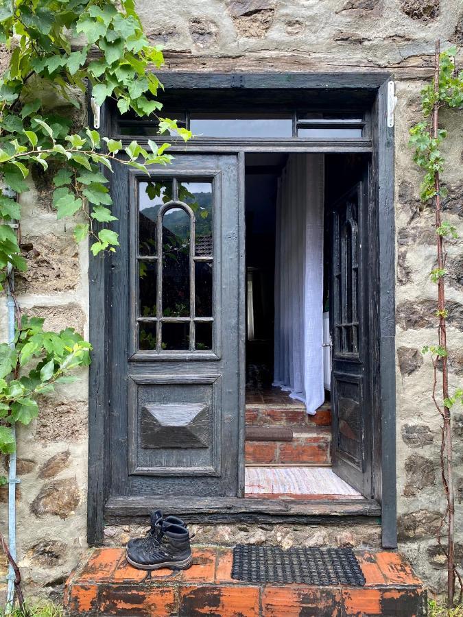 The Hunter House Villa Ciudanovita ภายนอก รูปภาพ