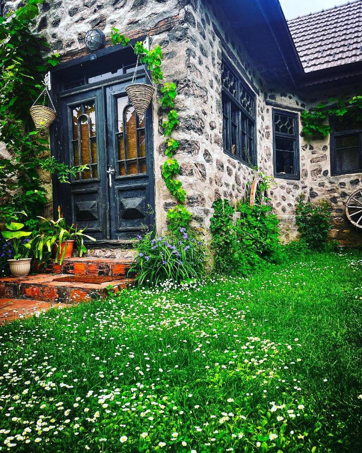 The Hunter House Villa Ciudanovita ภายนอก รูปภาพ